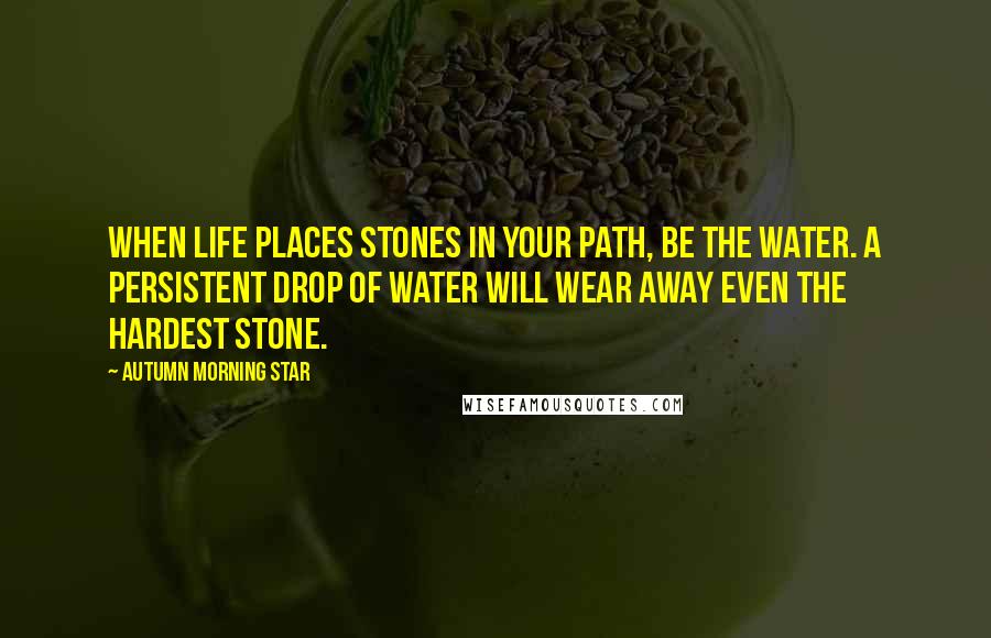 Autumn Morning Star Quotes: When life places stones in your path, be the water. A persistent drop of water will wear away even the hardest stone.