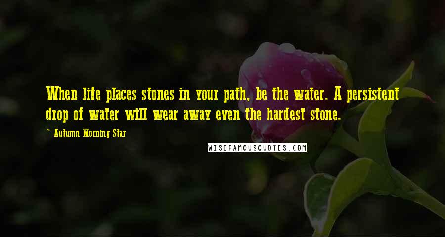 Autumn Morning Star Quotes: When life places stones in your path, be the water. A persistent drop of water will wear away even the hardest stone.