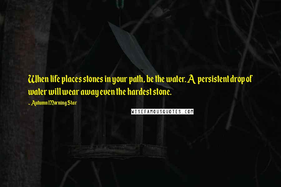 Autumn Morning Star Quotes: When life places stones in your path, be the water. A persistent drop of water will wear away even the hardest stone.