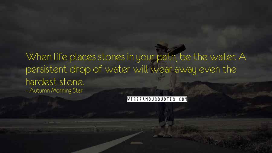 Autumn Morning Star Quotes: When life places stones in your path, be the water. A persistent drop of water will wear away even the hardest stone.