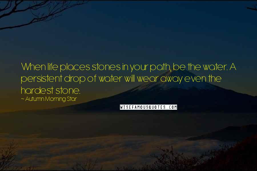 Autumn Morning Star Quotes: When life places stones in your path, be the water. A persistent drop of water will wear away even the hardest stone.