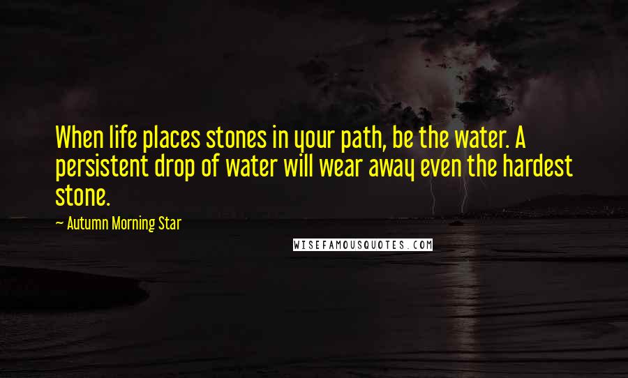 Autumn Morning Star Quotes: When life places stones in your path, be the water. A persistent drop of water will wear away even the hardest stone.