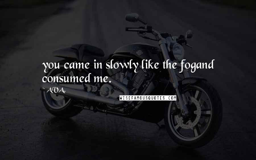 AVA. Quotes: you came in slowly like the fogand consumed me.