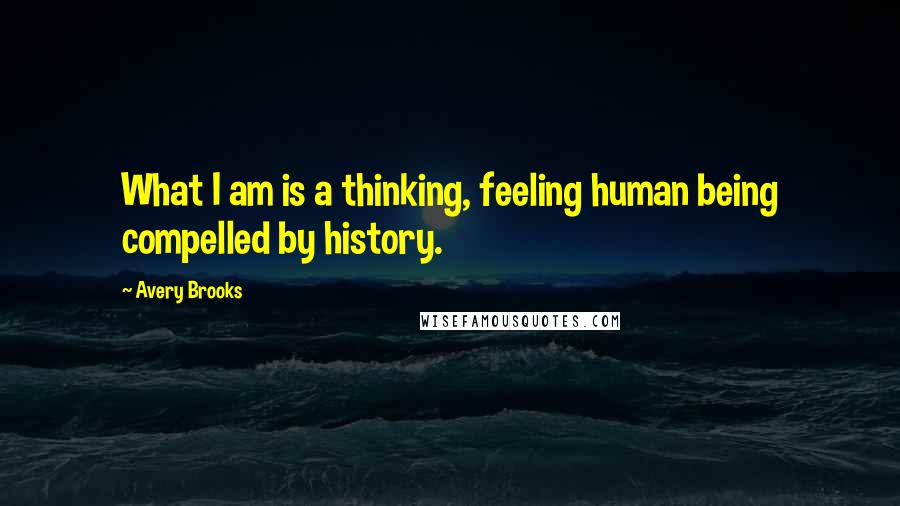 Avery Brooks Quotes: What I am is a thinking, feeling human being compelled by history.