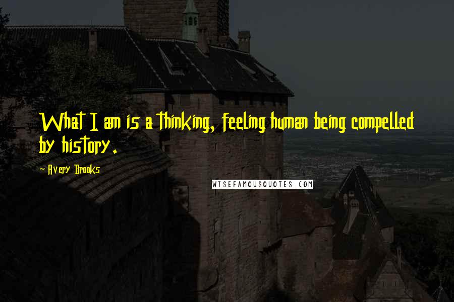 Avery Brooks Quotes: What I am is a thinking, feeling human being compelled by history.