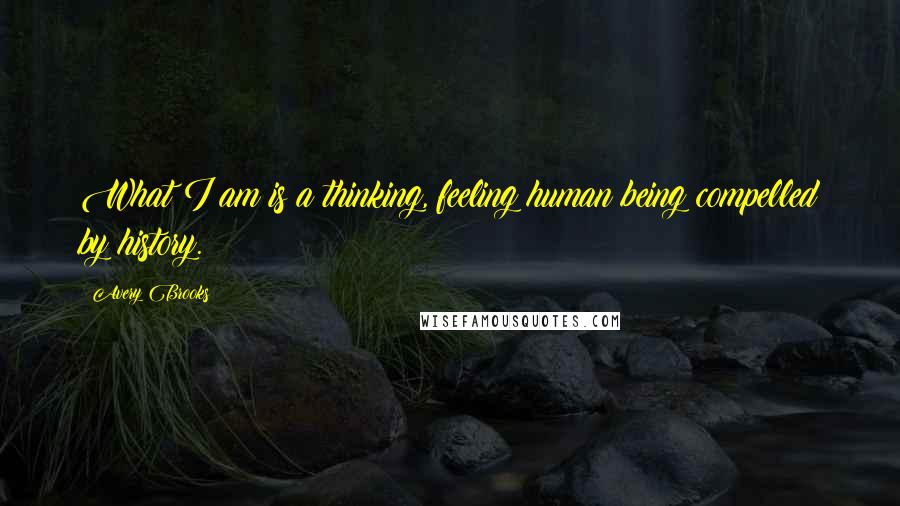 Avery Brooks Quotes: What I am is a thinking, feeling human being compelled by history.