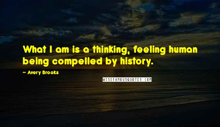 Avery Brooks Quotes: What I am is a thinking, feeling human being compelled by history.