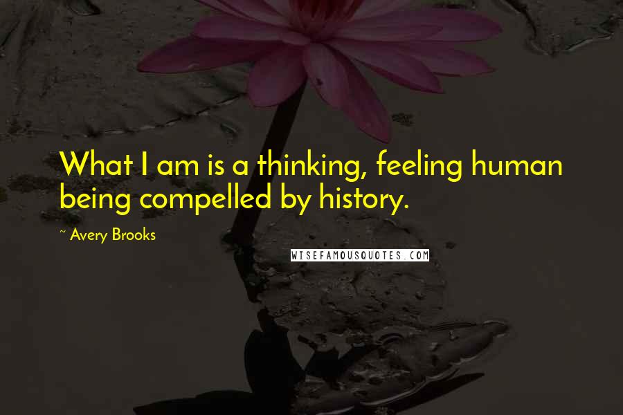 Avery Brooks Quotes: What I am is a thinking, feeling human being compelled by history.