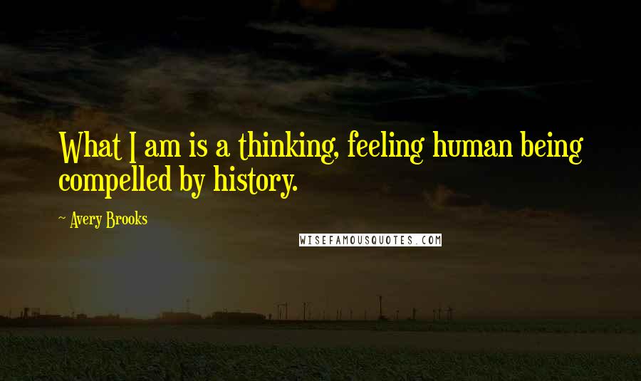 Avery Brooks Quotes: What I am is a thinking, feeling human being compelled by history.