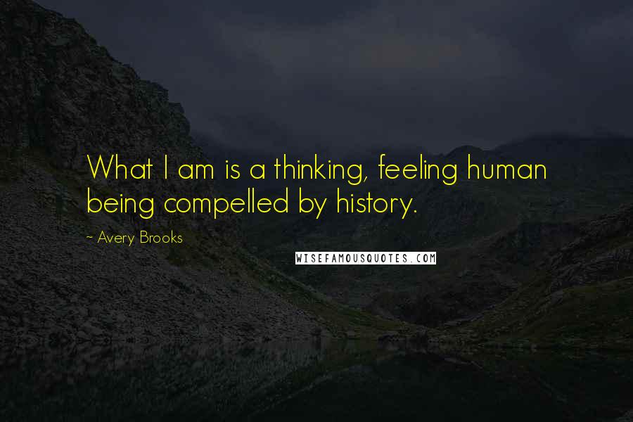 Avery Brooks Quotes: What I am is a thinking, feeling human being compelled by history.