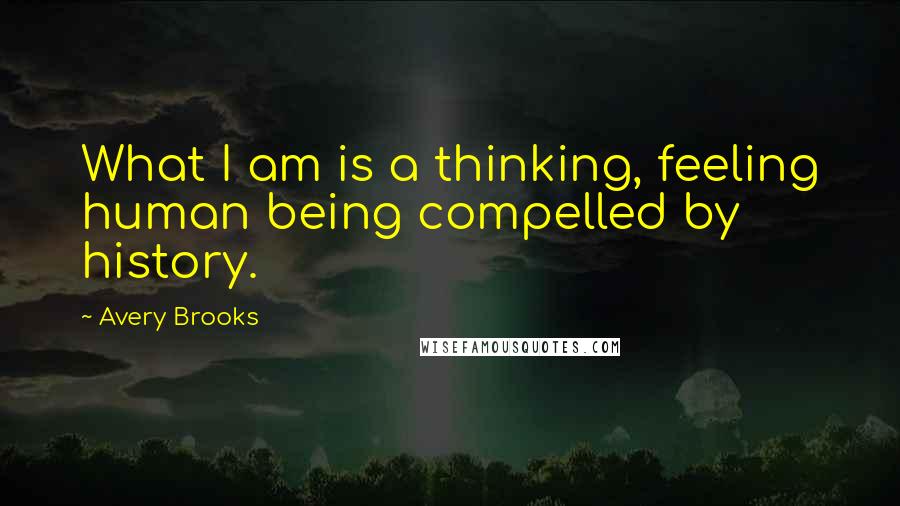 Avery Brooks Quotes: What I am is a thinking, feeling human being compelled by history.