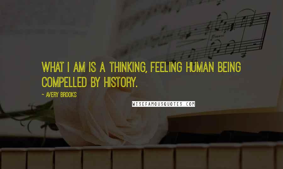 Avery Brooks Quotes: What I am is a thinking, feeling human being compelled by history.