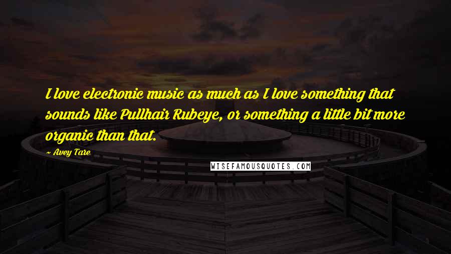 Avey Tare Quotes: I love electronic music as much as I love something that sounds like Pullhair Rubeye, or something a little bit more organic than that.