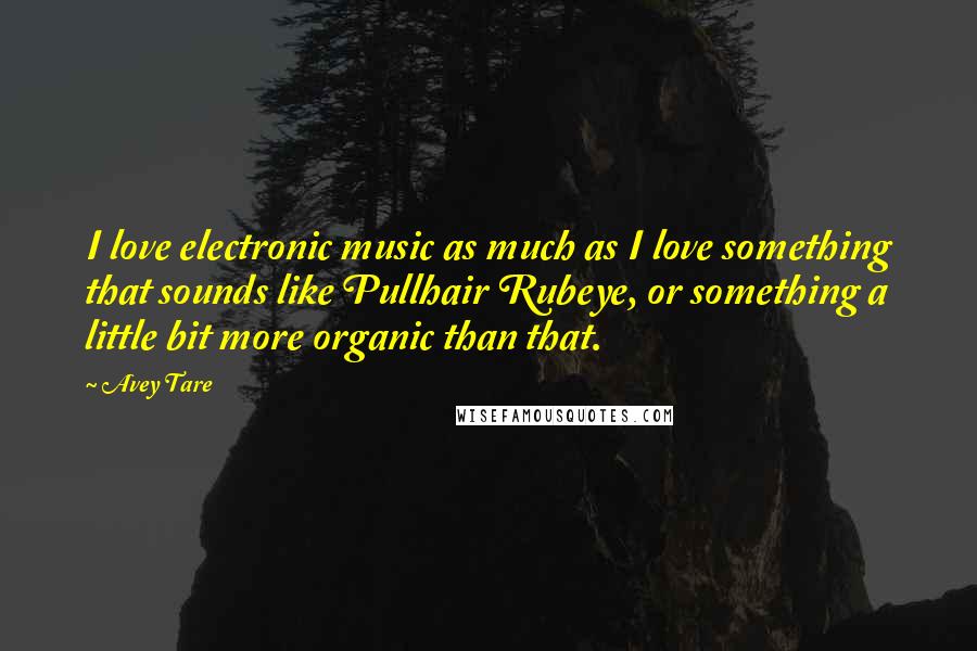 Avey Tare Quotes: I love electronic music as much as I love something that sounds like Pullhair Rubeye, or something a little bit more organic than that.