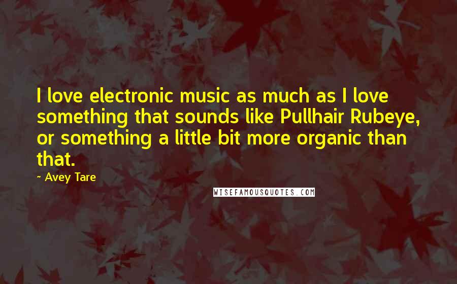 Avey Tare Quotes: I love electronic music as much as I love something that sounds like Pullhair Rubeye, or something a little bit more organic than that.