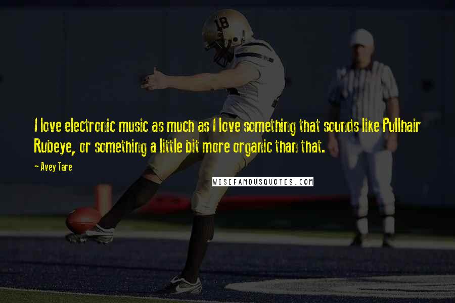 Avey Tare Quotes: I love electronic music as much as I love something that sounds like Pullhair Rubeye, or something a little bit more organic than that.
