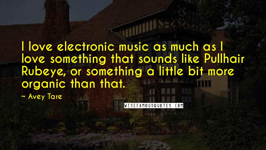 Avey Tare Quotes: I love electronic music as much as I love something that sounds like Pullhair Rubeye, or something a little bit more organic than that.