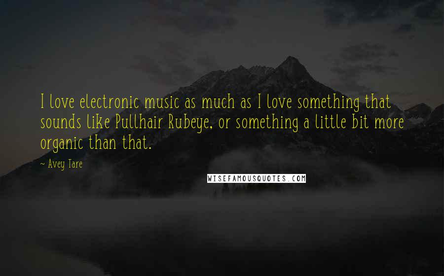 Avey Tare Quotes: I love electronic music as much as I love something that sounds like Pullhair Rubeye, or something a little bit more organic than that.