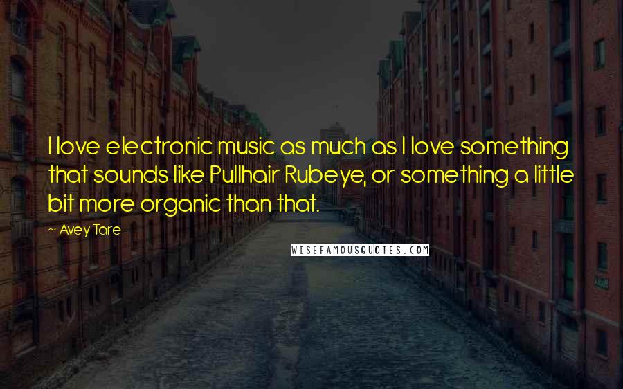 Avey Tare Quotes: I love electronic music as much as I love something that sounds like Pullhair Rubeye, or something a little bit more organic than that.