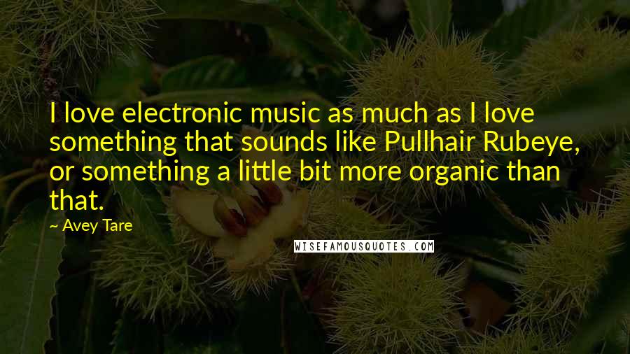 Avey Tare Quotes: I love electronic music as much as I love something that sounds like Pullhair Rubeye, or something a little bit more organic than that.