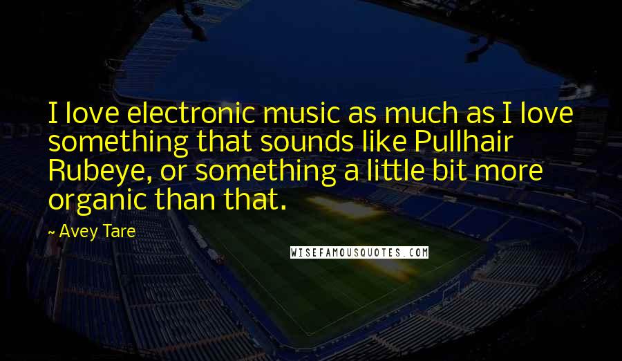 Avey Tare Quotes: I love electronic music as much as I love something that sounds like Pullhair Rubeye, or something a little bit more organic than that.
