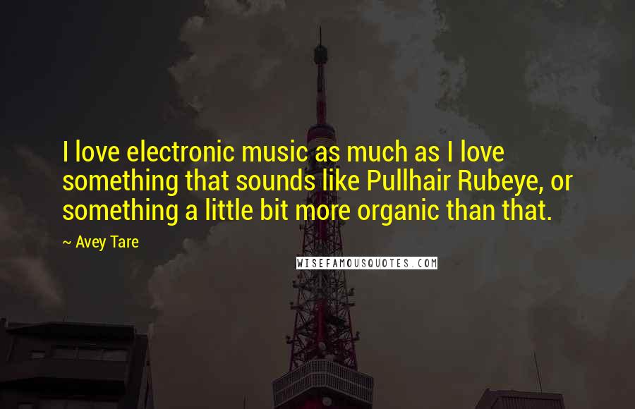 Avey Tare Quotes: I love electronic music as much as I love something that sounds like Pullhair Rubeye, or something a little bit more organic than that.