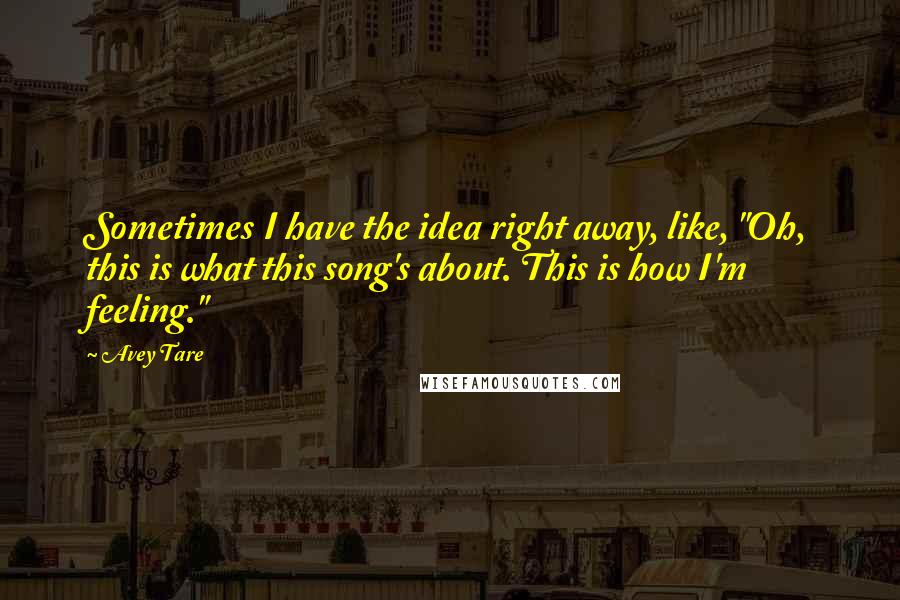 Avey Tare Quotes: Sometimes I have the idea right away, like, "Oh, this is what this song's about. This is how I'm feeling."