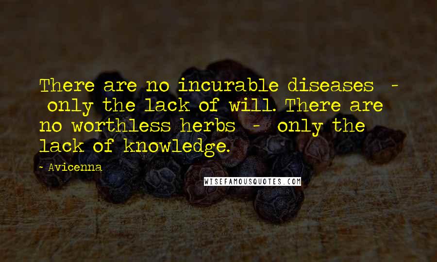 Avicenna Quotes: There are no incurable diseases  -  only the lack of will. There are no worthless herbs  -  only the lack of knowledge.