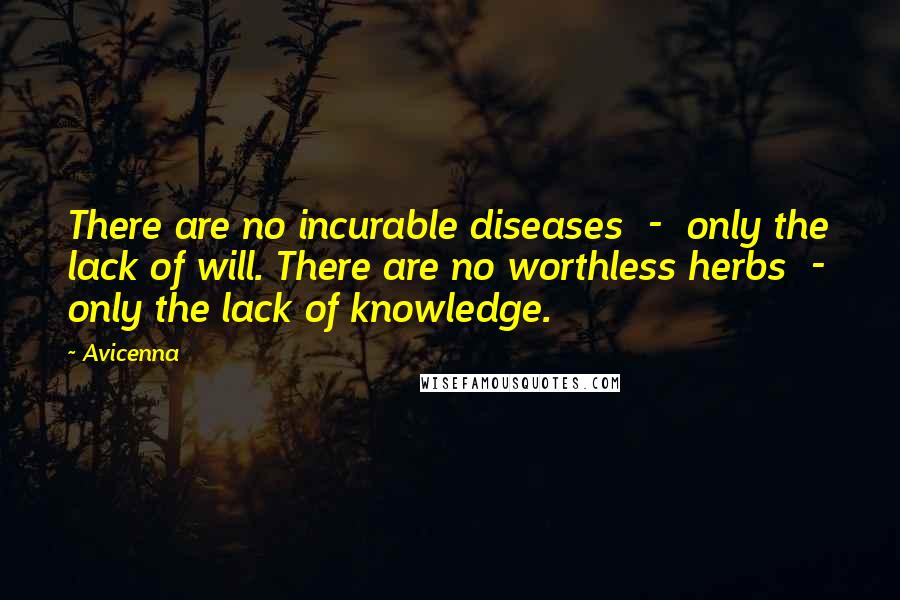 Avicenna Quotes: There are no incurable diseases  -  only the lack of will. There are no worthless herbs  -  only the lack of knowledge.