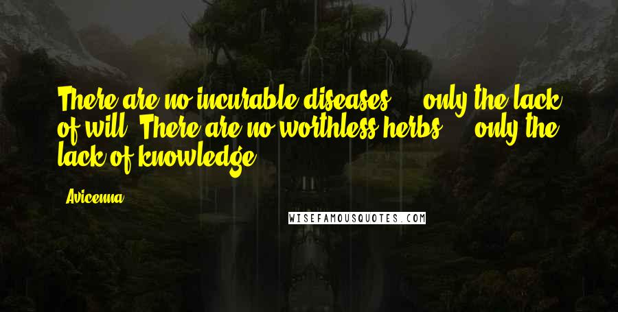 Avicenna Quotes: There are no incurable diseases  -  only the lack of will. There are no worthless herbs  -  only the lack of knowledge.