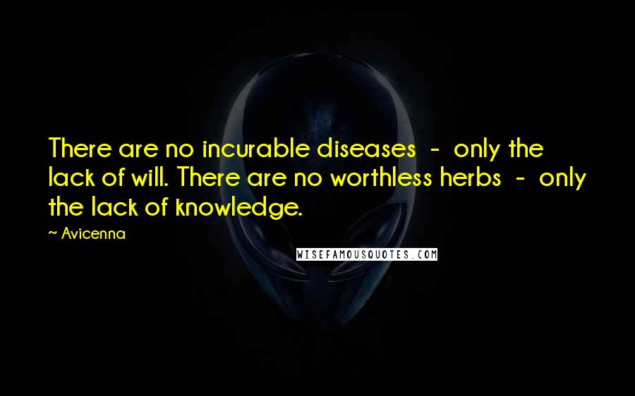 Avicenna Quotes: There are no incurable diseases  -  only the lack of will. There are no worthless herbs  -  only the lack of knowledge.