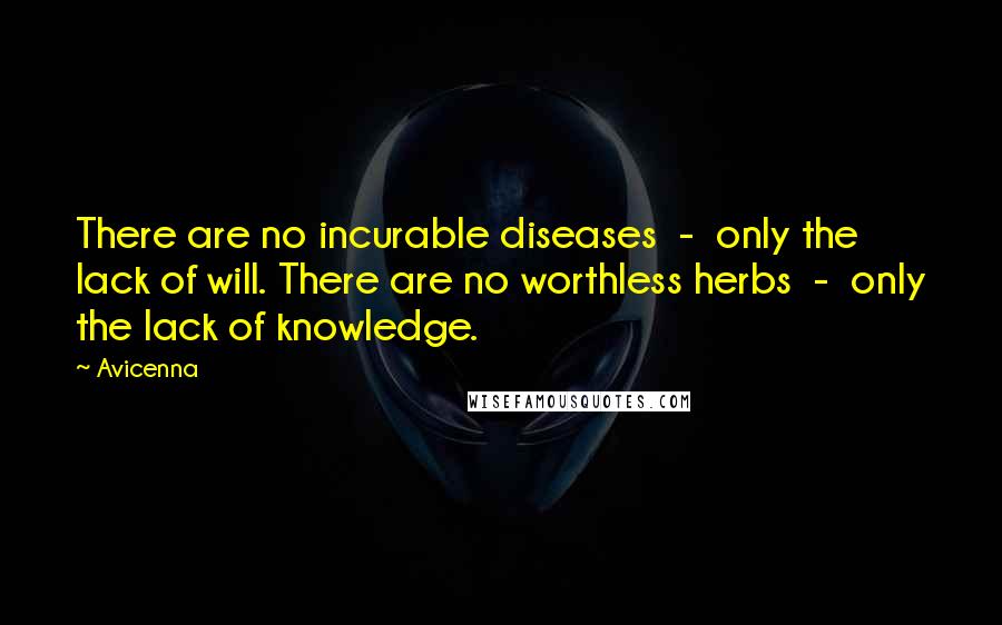 Avicenna Quotes: There are no incurable diseases - only the lack of will. There are no worthless herbs - only the lack of knowledge.
