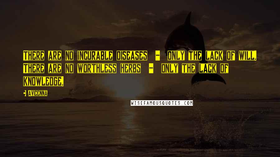 Avicenna Quotes: There are no incurable diseases - only the lack of will. There are no worthless herbs - only the lack of knowledge.