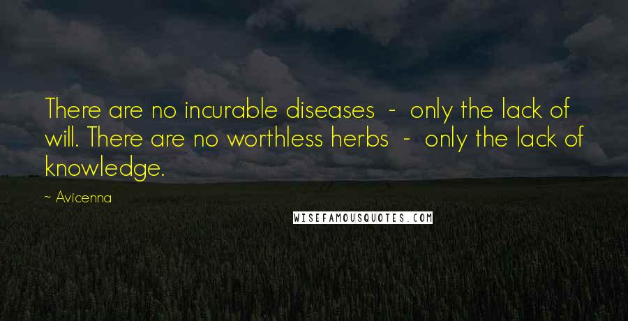 Avicenna Quotes: There are no incurable diseases  -  only the lack of will. There are no worthless herbs  -  only the lack of knowledge.