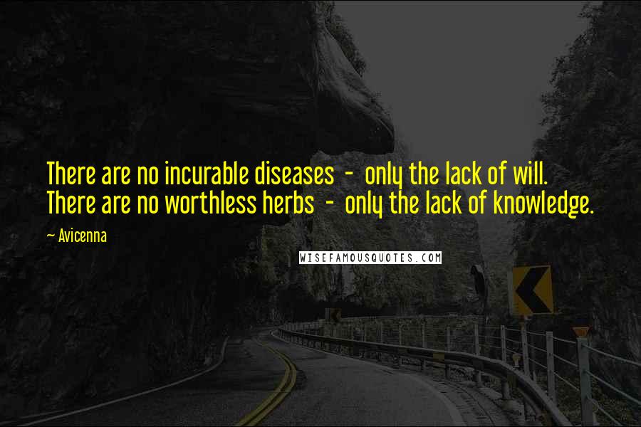 Avicenna Quotes: There are no incurable diseases  -  only the lack of will. There are no worthless herbs  -  only the lack of knowledge.