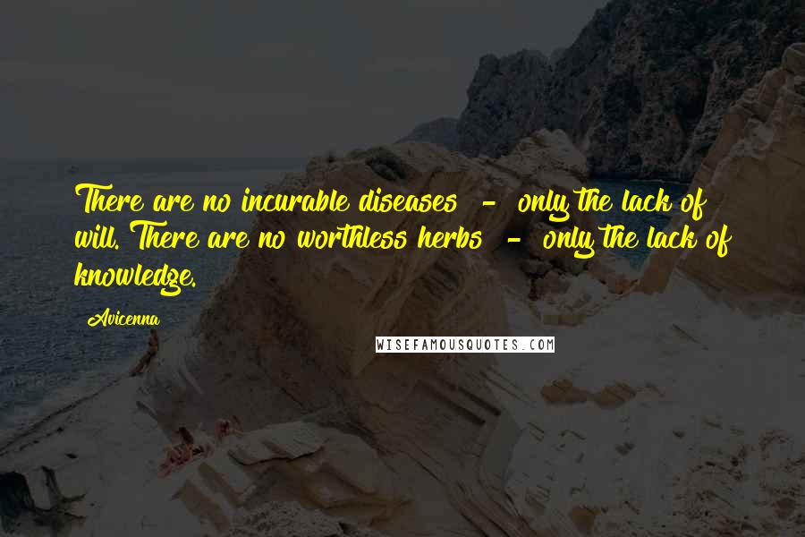 Avicenna Quotes: There are no incurable diseases - only the lack of will. There are no worthless herbs - only the lack of knowledge.
