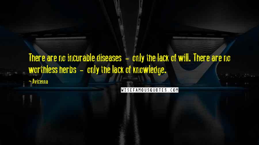 Avicenna Quotes: There are no incurable diseases  -  only the lack of will. There are no worthless herbs  -  only the lack of knowledge.