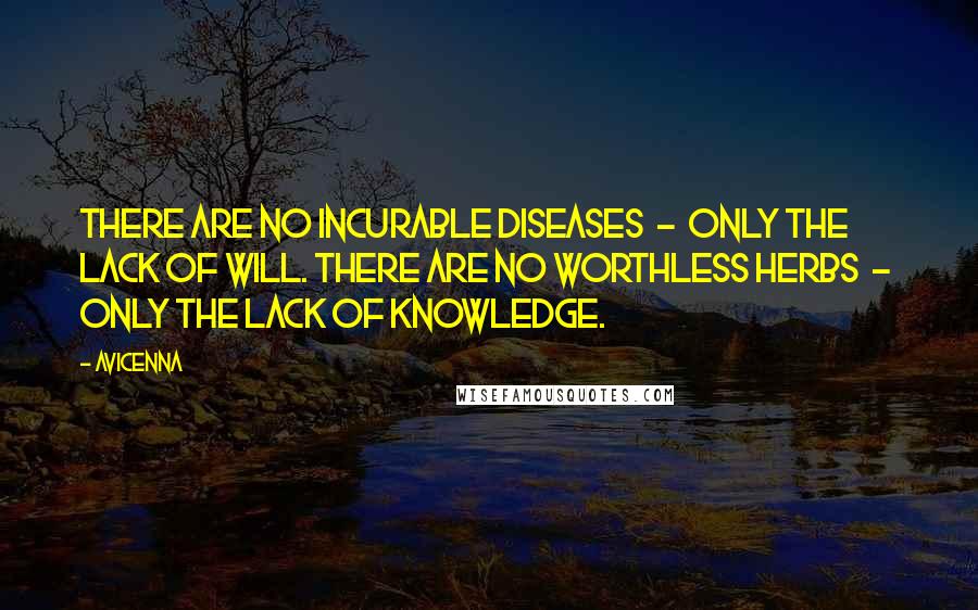 Avicenna Quotes: There are no incurable diseases  -  only the lack of will. There are no worthless herbs  -  only the lack of knowledge.