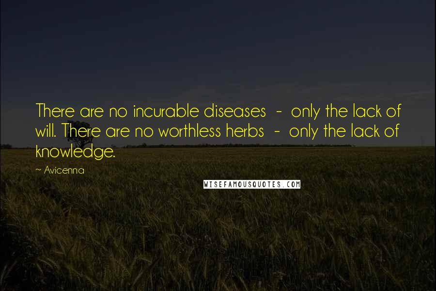 Avicenna Quotes: There are no incurable diseases  -  only the lack of will. There are no worthless herbs  -  only the lack of knowledge.