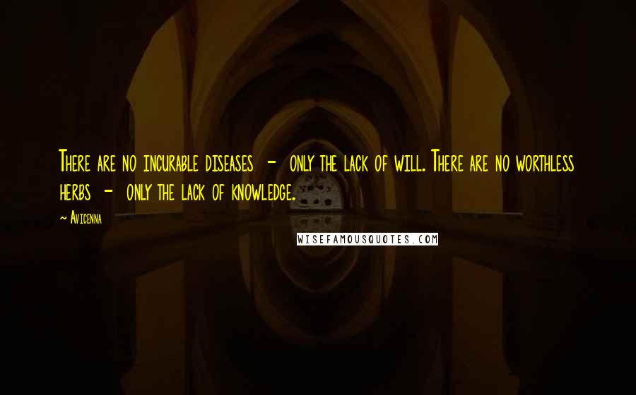 Avicenna Quotes: There are no incurable diseases - only the lack of will. There are no worthless herbs - only the lack of knowledge.