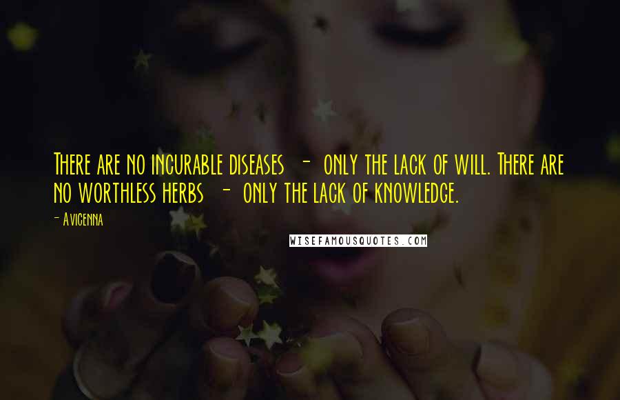 Avicenna Quotes: There are no incurable diseases  -  only the lack of will. There are no worthless herbs  -  only the lack of knowledge.