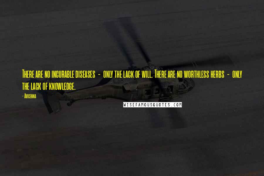 Avicenna Quotes: There are no incurable diseases - only the lack of will. There are no worthless herbs - only the lack of knowledge.
