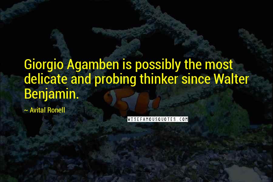 Avital Ronell Quotes: Giorgio Agamben is possibly the most delicate and probing thinker since Walter Benjamin.