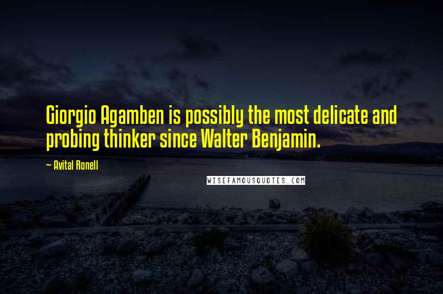 Avital Ronell Quotes: Giorgio Agamben is possibly the most delicate and probing thinker since Walter Benjamin.