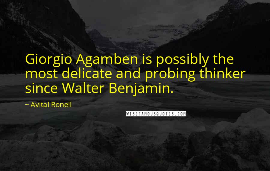 Avital Ronell Quotes: Giorgio Agamben is possibly the most delicate and probing thinker since Walter Benjamin.