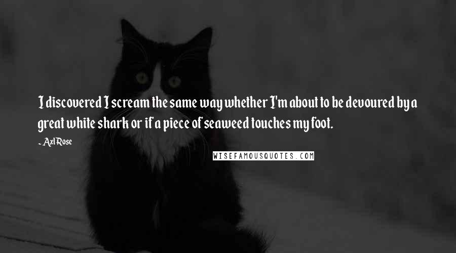 Axl Rose Quotes: I discovered I scream the same way whether I'm about to be devoured by a great white shark or if a piece of seaweed touches my foot.