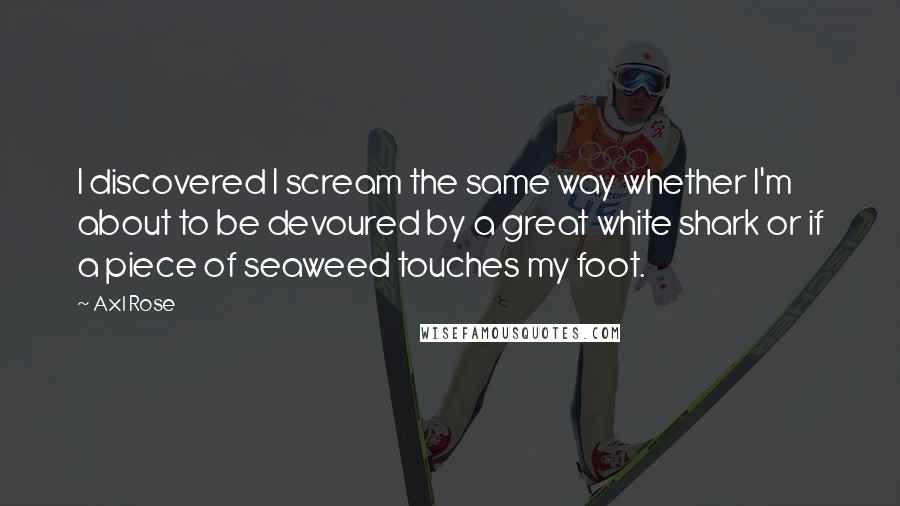 Axl Rose Quotes: I discovered I scream the same way whether I'm about to be devoured by a great white shark or if a piece of seaweed touches my foot.