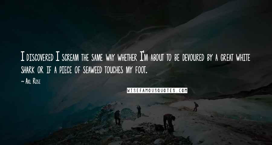 Axl Rose Quotes: I discovered I scream the same way whether I'm about to be devoured by a great white shark or if a piece of seaweed touches my foot.