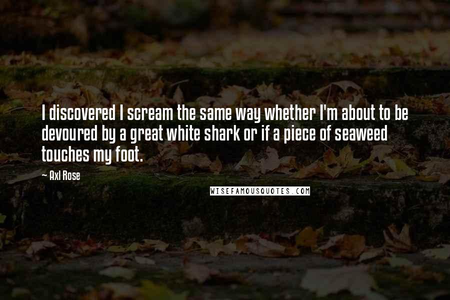 Axl Rose Quotes: I discovered I scream the same way whether I'm about to be devoured by a great white shark or if a piece of seaweed touches my foot.