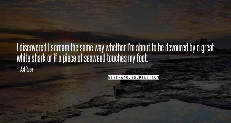 Axl Rose Quotes: I discovered I scream the same way whether I'm about to be devoured by a great white shark or if a piece of seaweed touches my foot.